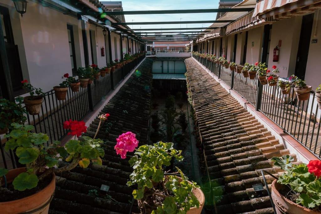 Apartamento Con Encanto En Patio Sevillano Luaran gambar