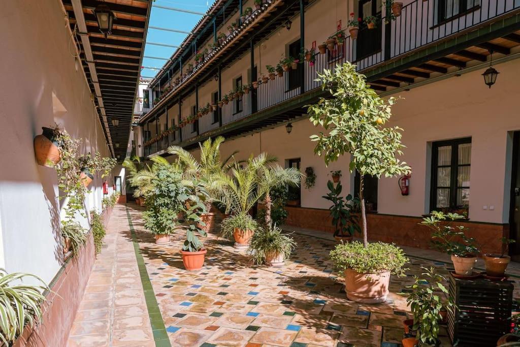 Apartamento Con Encanto En Patio Sevillano Luaran gambar